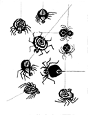 Spider studies.