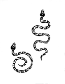 Study for Snake animation.