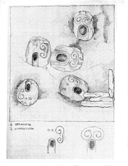 A study of facial expressions for Voiceholders.
